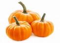 sugarbaby pumpkin